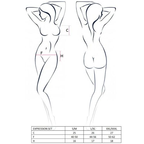 PASSION – CONJUNTO EXPRESSO WOMAN TAMANHO L/XL FETISH